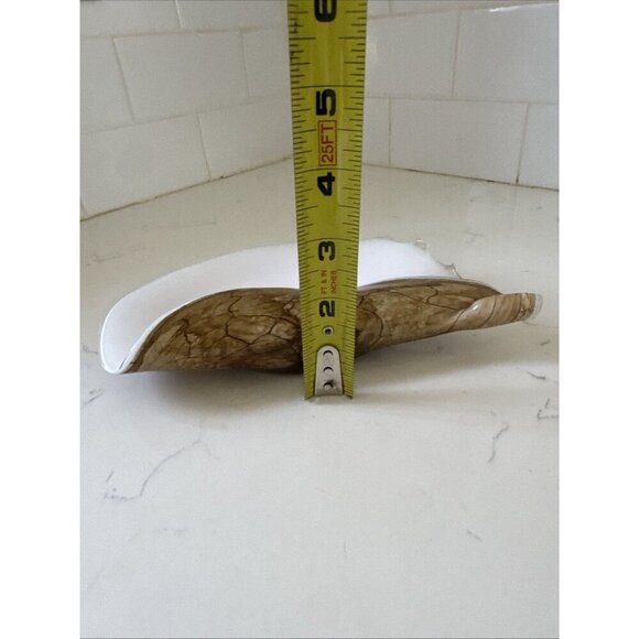 Large Art Glass Hand Blown Conch Shell Centerpiece Brown Krosno? Murano? - Picture 5 of 10